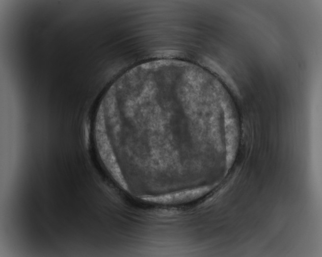 X0000092000110200710041014