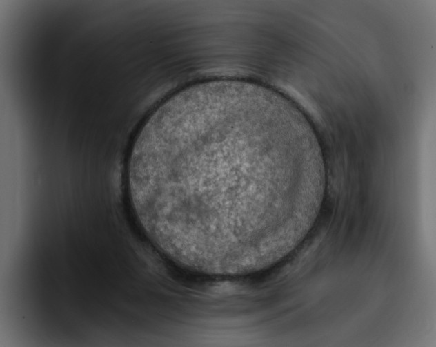 X0000092000111200710041014