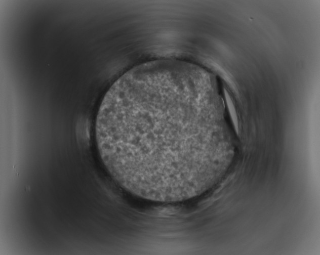 X0000092000115200710041014