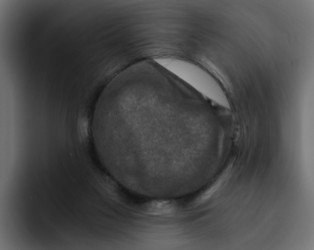 X0000092000117200710041014