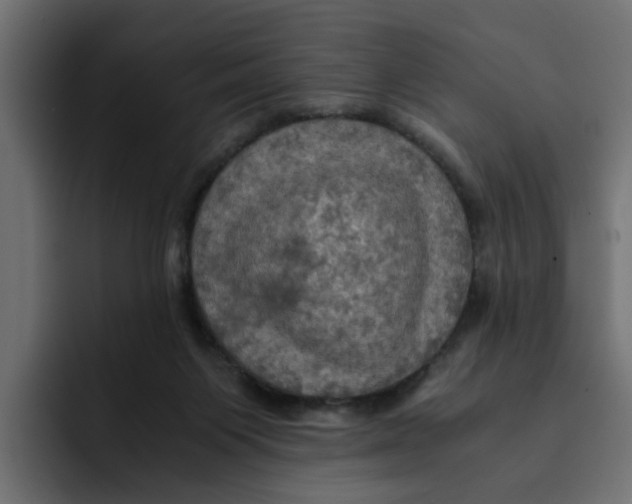 X0000092000119200710041014