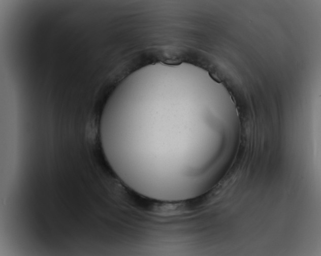 X0000092000129200710041014