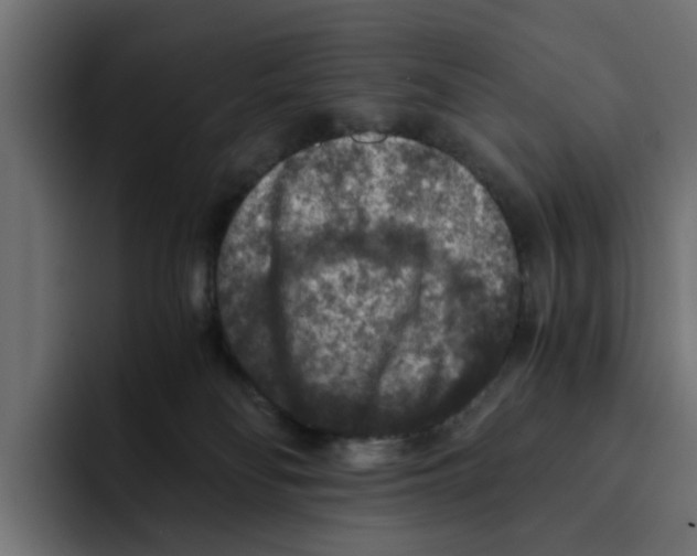 X0000092000134200710041014