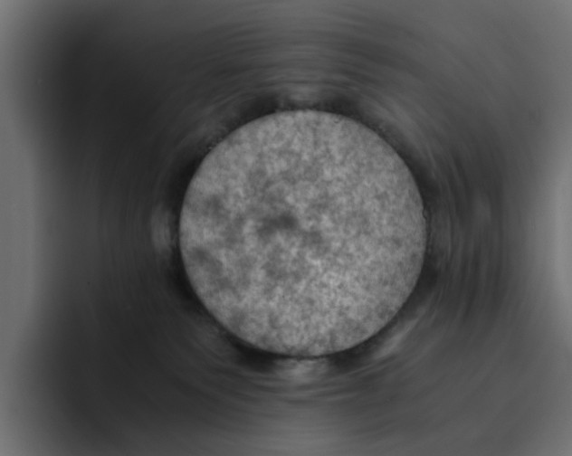 X0000092000135200710041014