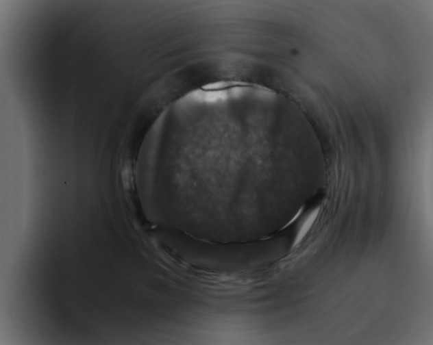 X0000092000137200710041014