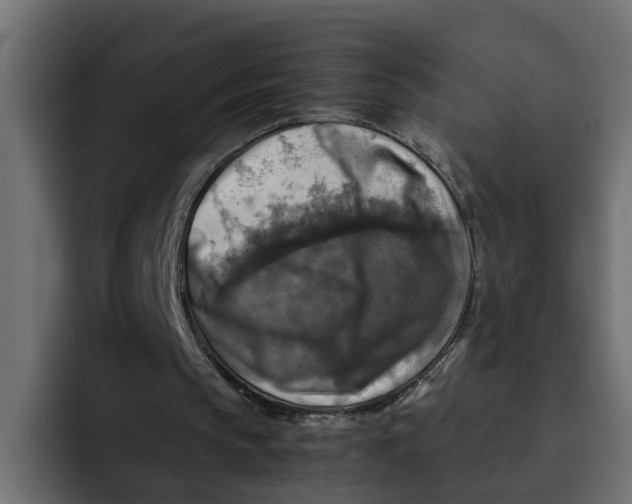 X0000092000145200710041013