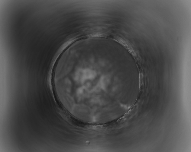 X0000092000147200710041014