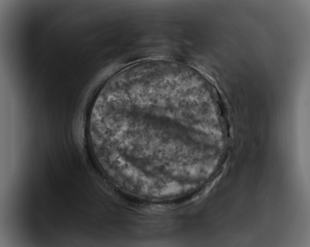 X0000092000149200710041014