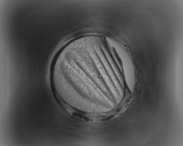 X0000092000150200710041014