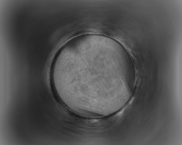 X0000092000151200710041014