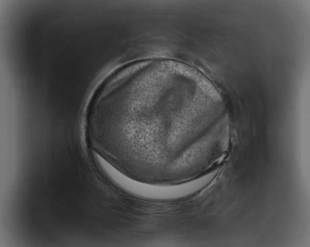 X0000092000152200710041014