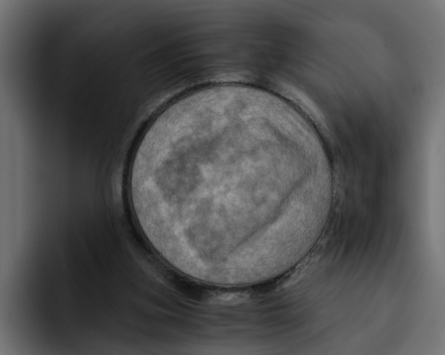 X0000092000155200710041014