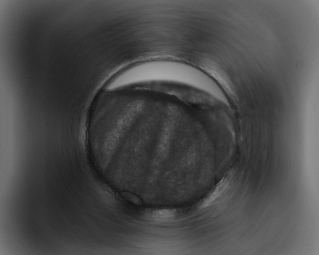 X0000092000156200710041014