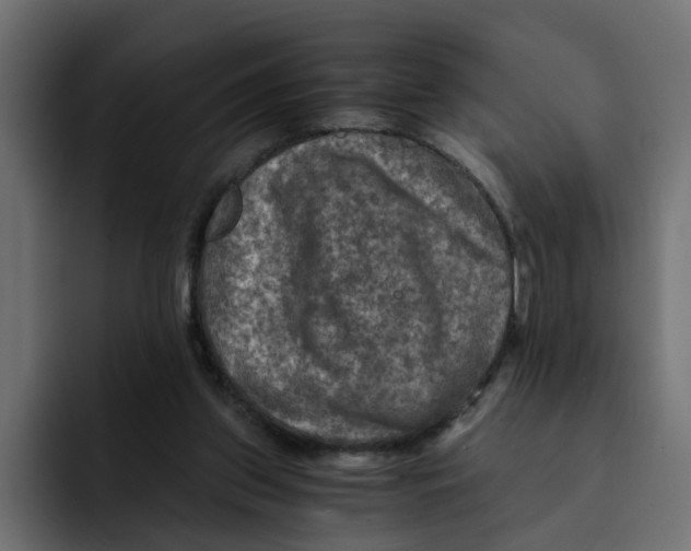 X0000092000157200710041014