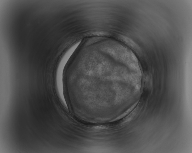 X0000092000158200710041014