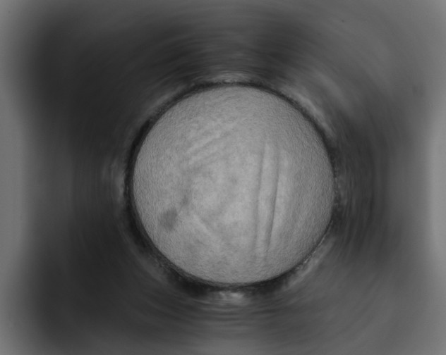 X0000092000159200710041014