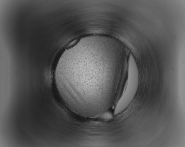 X0000092000160200710041014