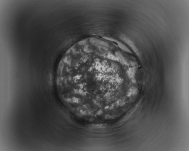 X0000092000161200710041014