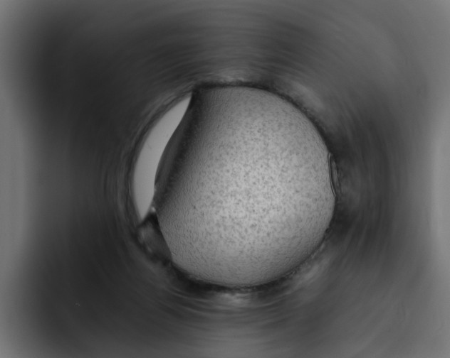 X0000092000164200710041014