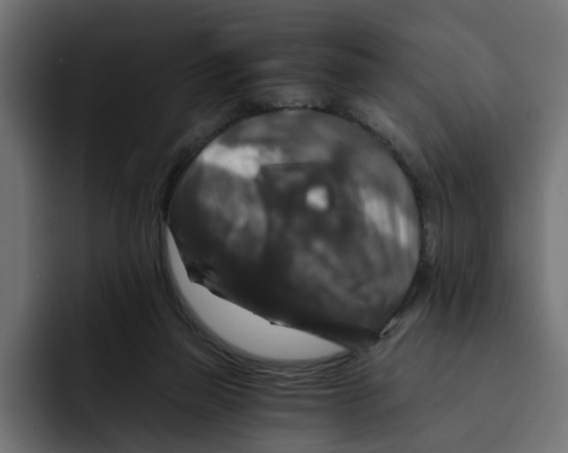 X0000092000165200710041014