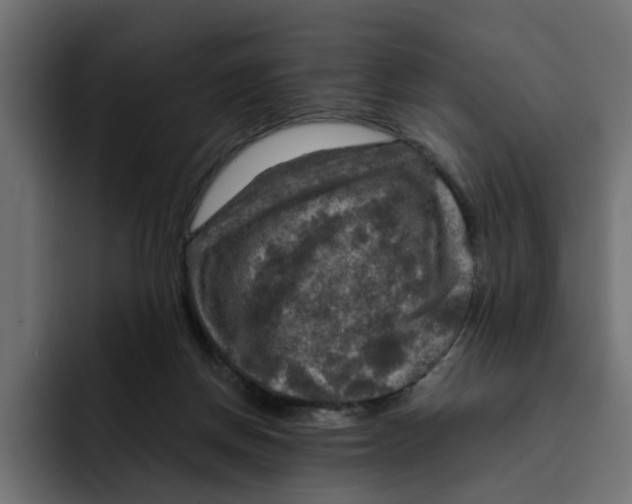 X0000092000166200710041014