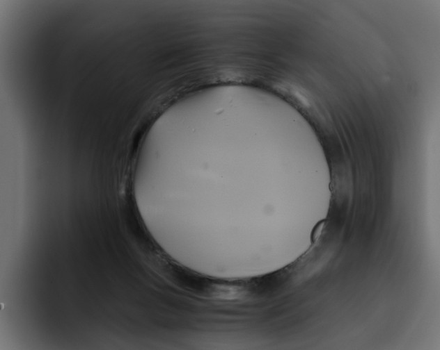 X0000092000167200710041014