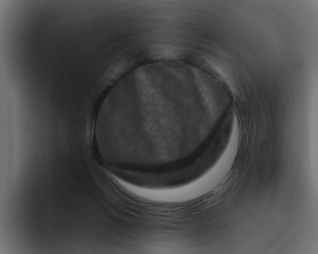 X0000092000168200710041014