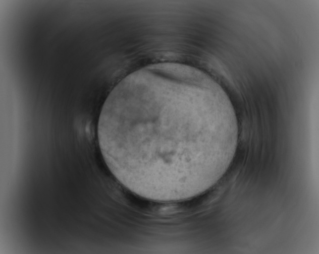 X0000092000173200710041014