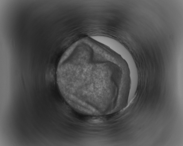 X0000092000175200710041014