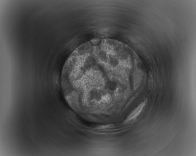 X0000092000178200710041014