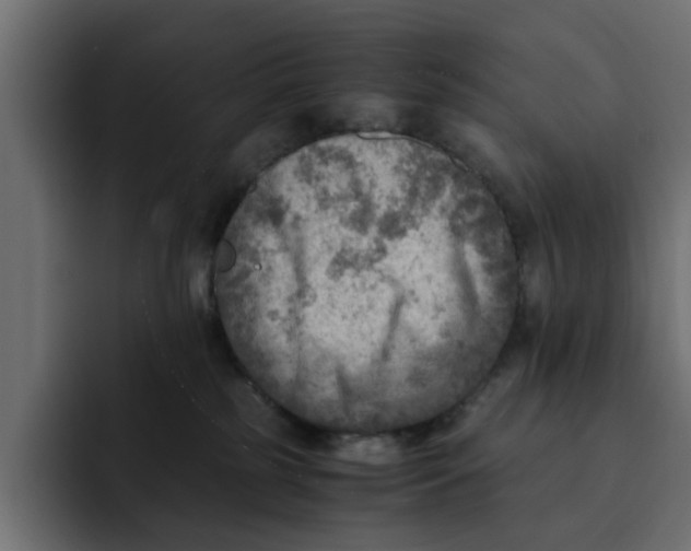 X0000092000185200710041014