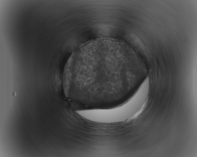 X0000092000186200710041014