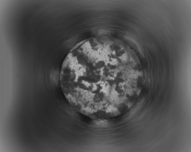 X0000092000189200710041014