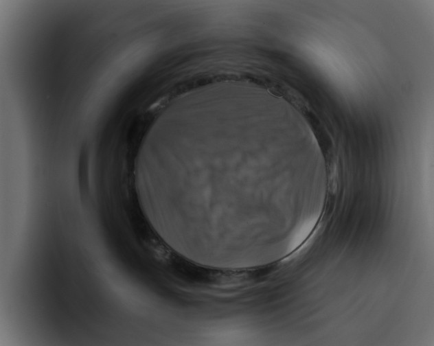 X0000092000191200710041014