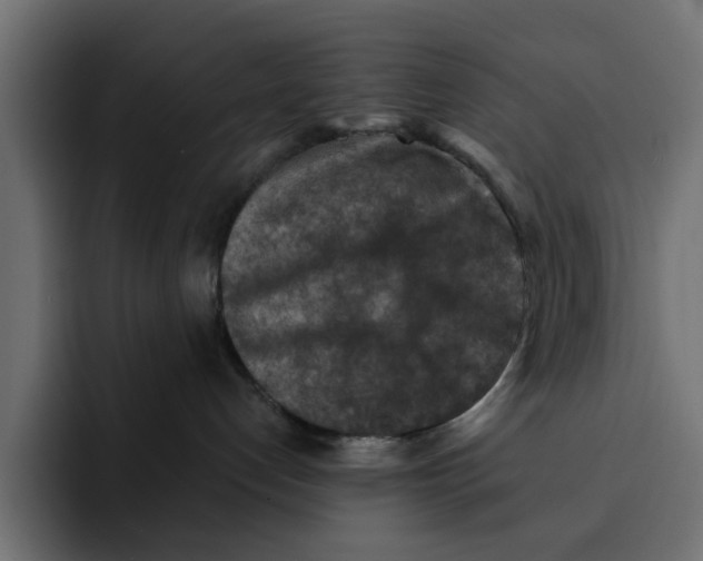 X0000092000192200710041014