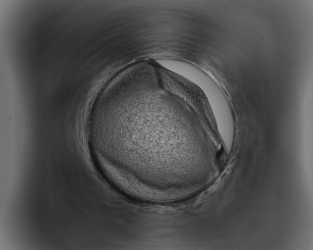 X0000092000193200710041013