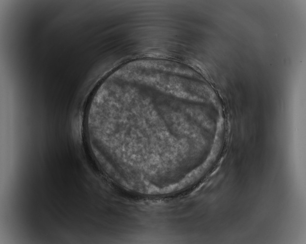 X0000092000194200710041013