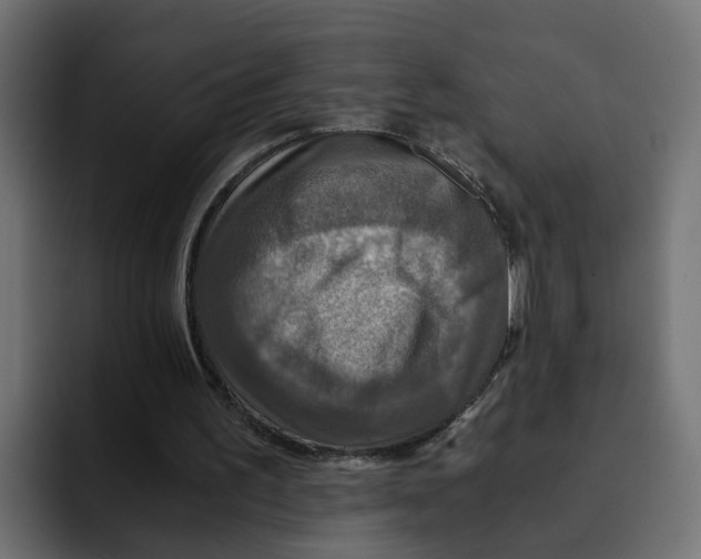 X0000092000195200710041013