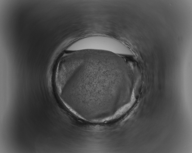 X0000092000197200710041013