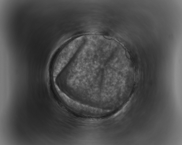 X0000092000198200710041013