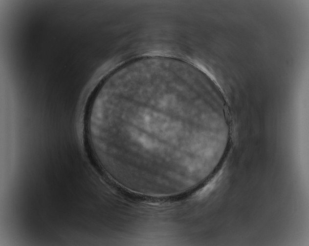 X0000092000199200710041013