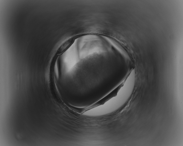 X0000092000200200710041013