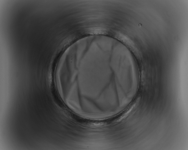 X0000092000202200710041013