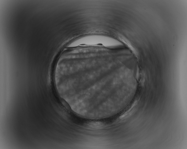 X0000092000203200710041013