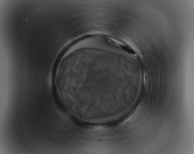 X0000092000204200710041013