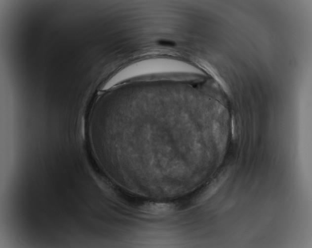 X0000092000205200710041013