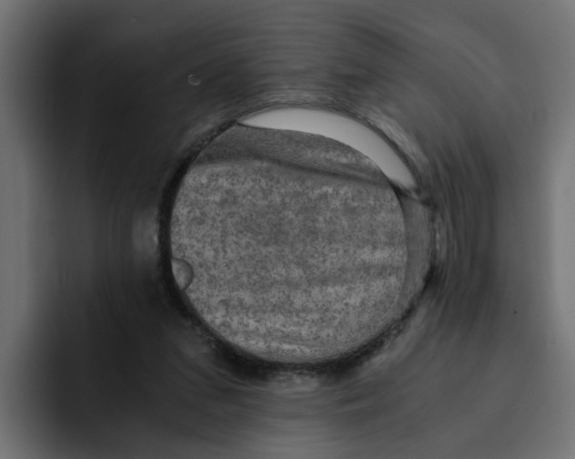 X0000092000207200710041013