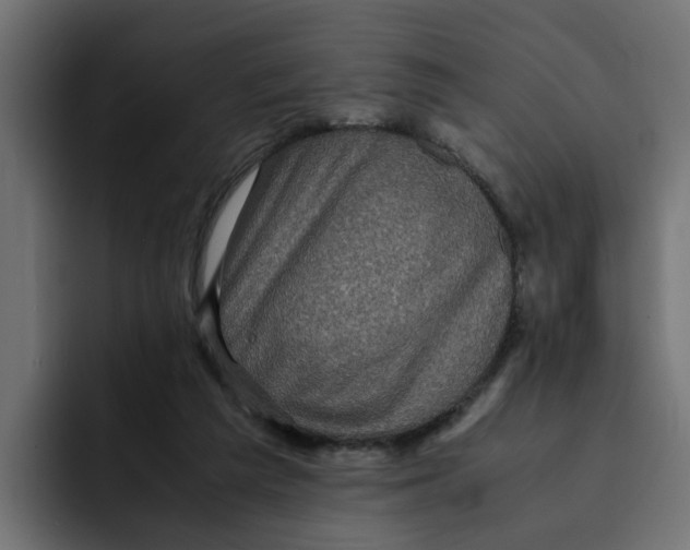 X0000092000209200710041013