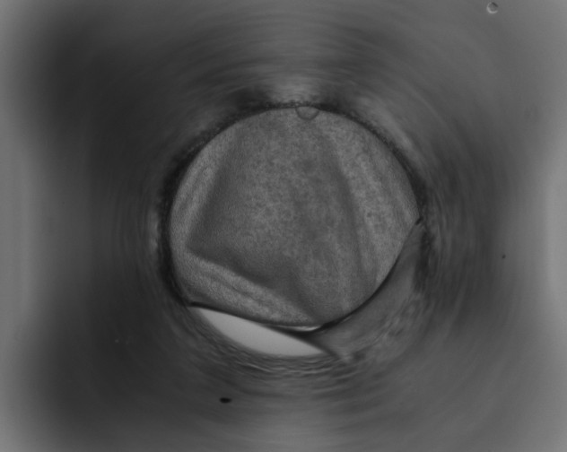 X0000092000211200710041013