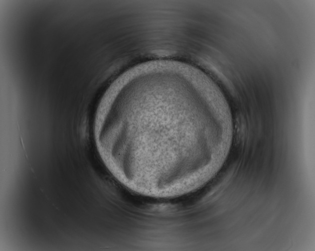 X0000092000212200710041013